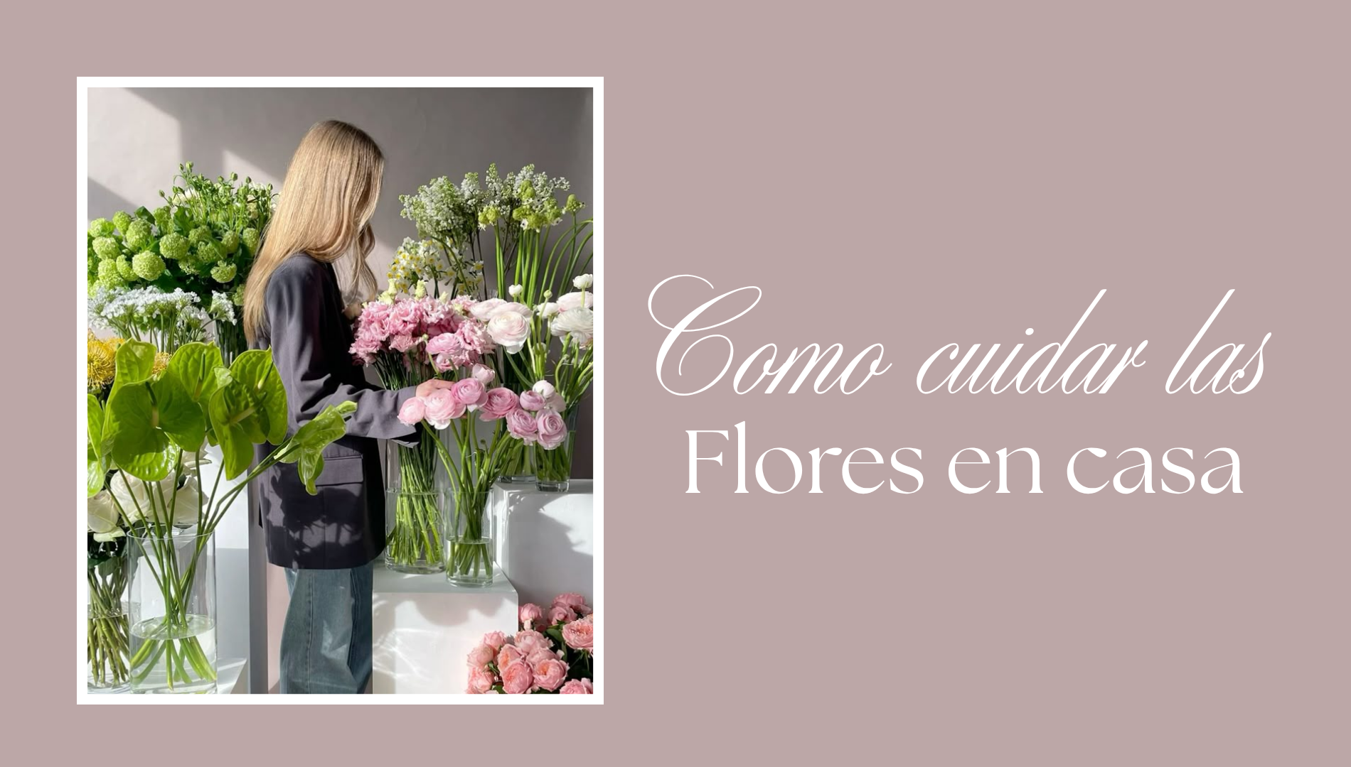 Cómo cuidar flores en casa para que duren más | Guía completa