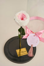 Rosa entera: Rosa De Jardin - Grande
