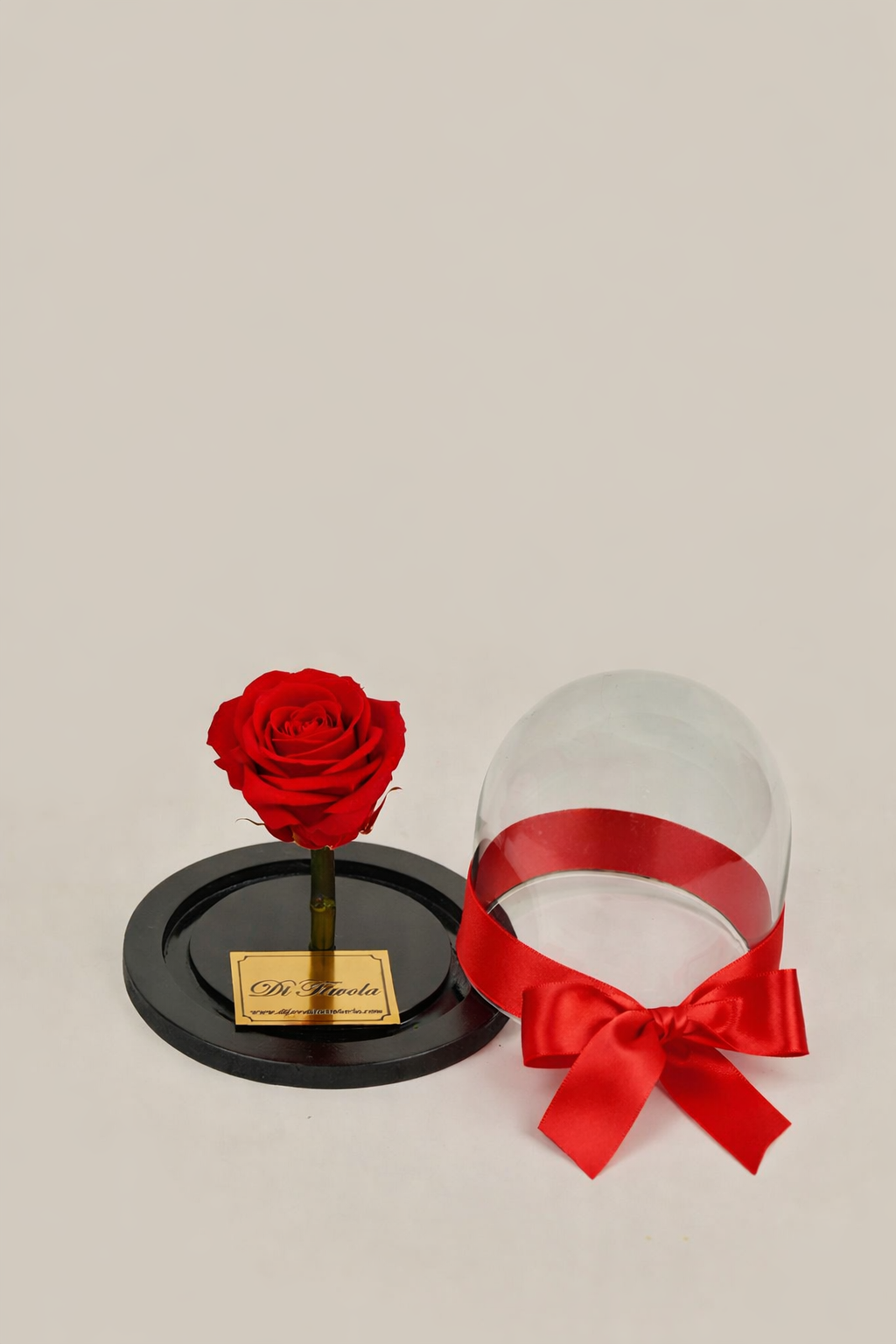 Rosa eterna bella y la bestia mini 10 cm - en caja sorpresa con pétalos. Amor y amistad