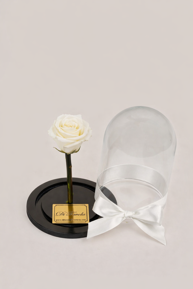Rosa bella y la bestia pequeña 15 cm - en caja sorpresa con pétalos. Amor y amistad