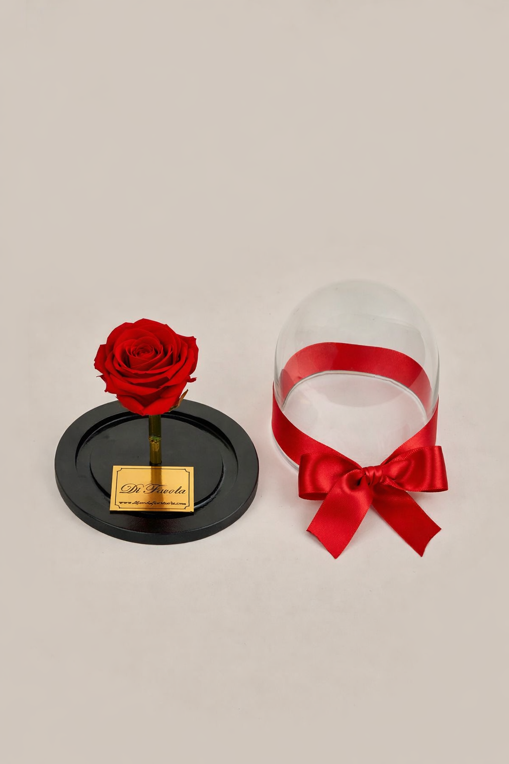 Rosa eterna bella y la bestia mini 10 cm - en caja sorpresa con pétalos. Amor y amistad
