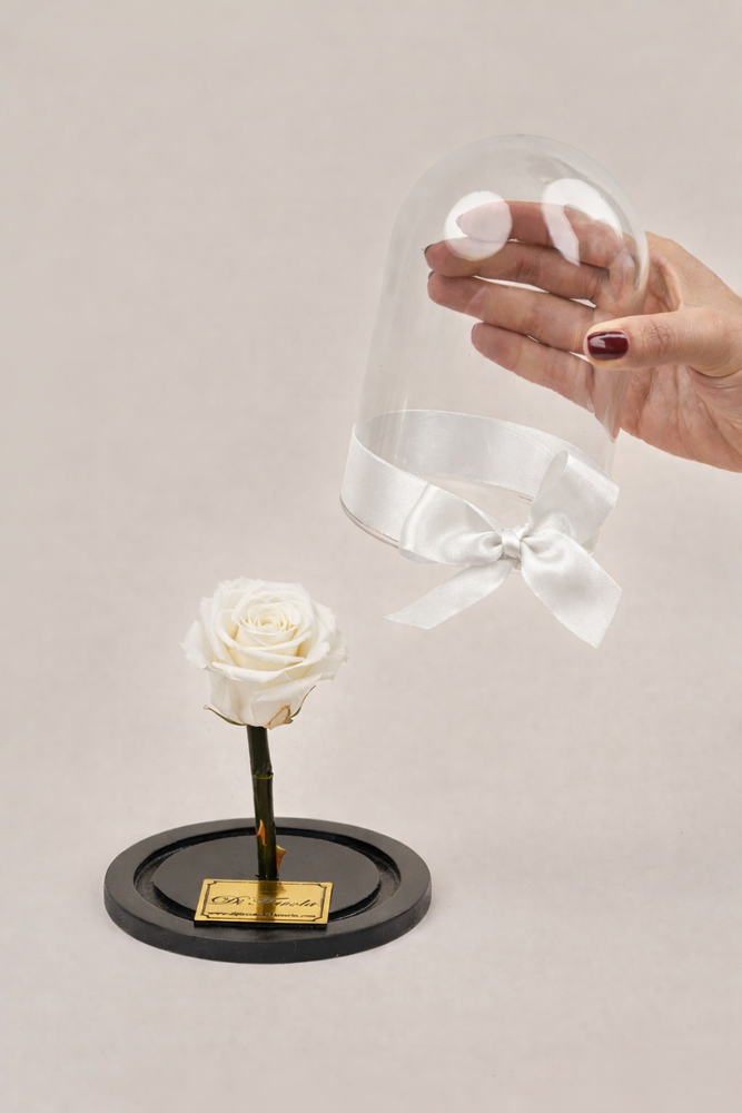 Rosa bella y la bestia pequeña 15 cm - en caja sorpresa con pétalos. Amor y amistad