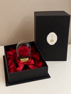 Rosa eterna bella y la bestia mini 10 cm - en caja sorpresa con pétalos. Amor y amistad