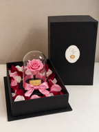 Rosa bella y la bestia pequeña 15 cm - en caja sorpresa con pétalos. Amor y amistad