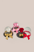 Rosa eterna bella y la bestia mini 10 cm - en caja sorpresa con pétalos. Amor y amistad