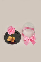 Rosa eterna bella y la bestia mini 10 cm - en caja sorpresa con pétalos. Amor y amistad