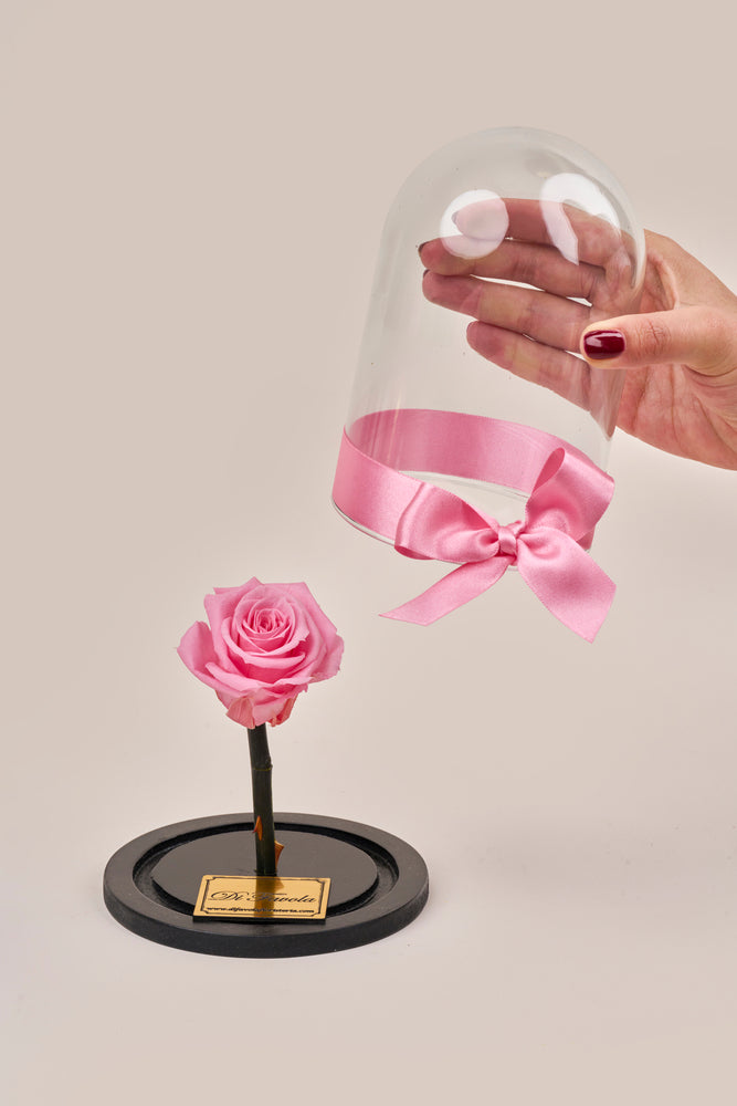 Rosa bella y la bestia pequeña 15 cm - en caja sorpresa con pétalos. Amor y amistad