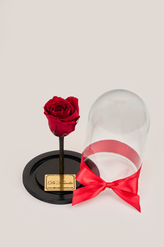 Rosa bella y la bestia pequeña 15 cm - en caja sorpresa con pétalos. Amor y amistad