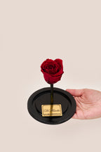 Rosa bella y la bestia pequeña 15 cm - en caja sorpresa con pétalos. Amor y amistad