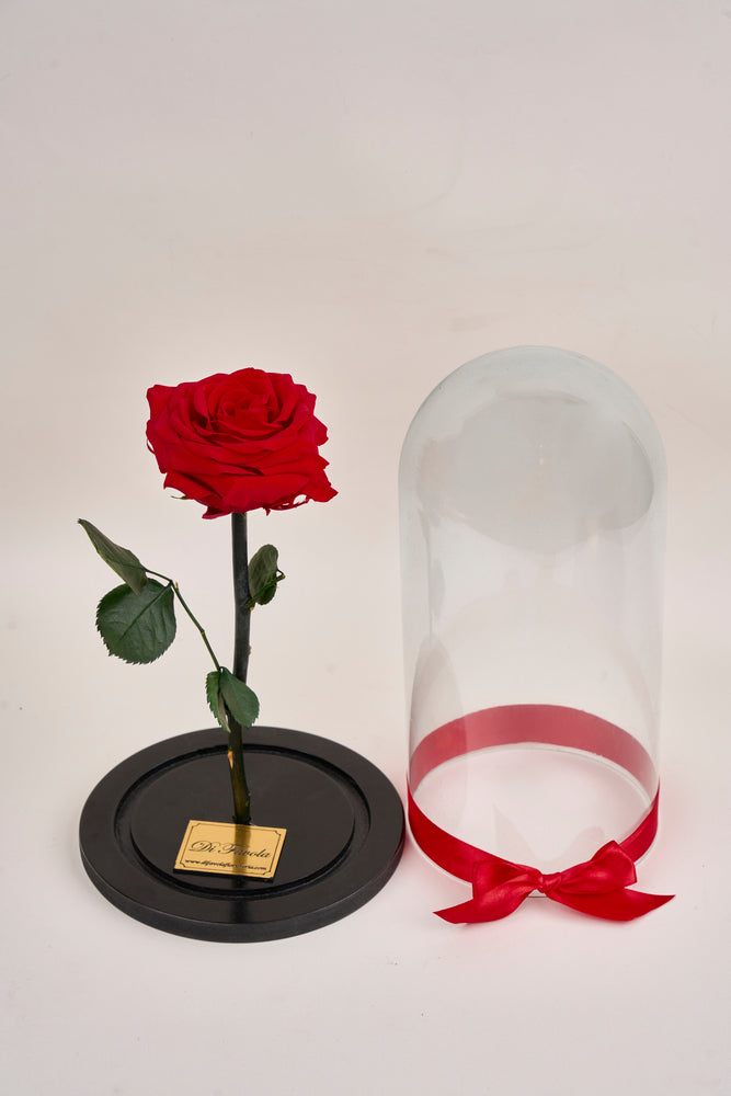 Rosa eterna - grande