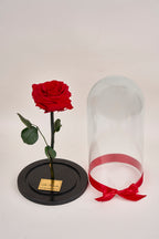 Rosa eterna - grande