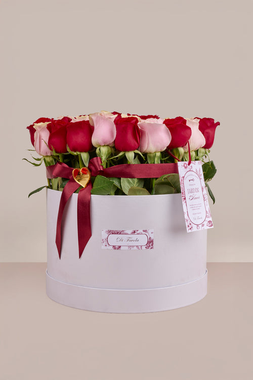 Cilindro Elegido - L