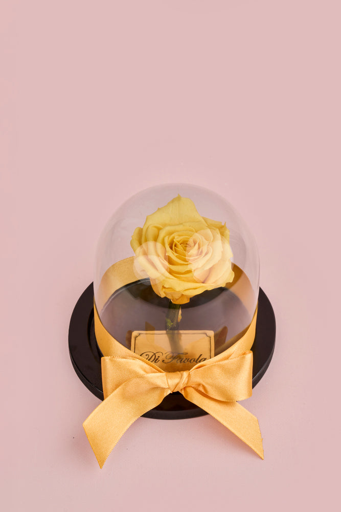 Rosa eterna - mini