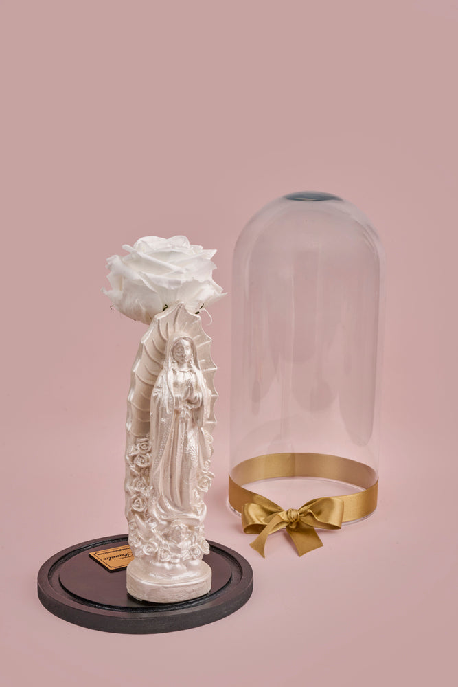 Rosa eterna grande en cúpula con Virgen