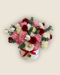 Tambor - hongo flores mixtas Amor