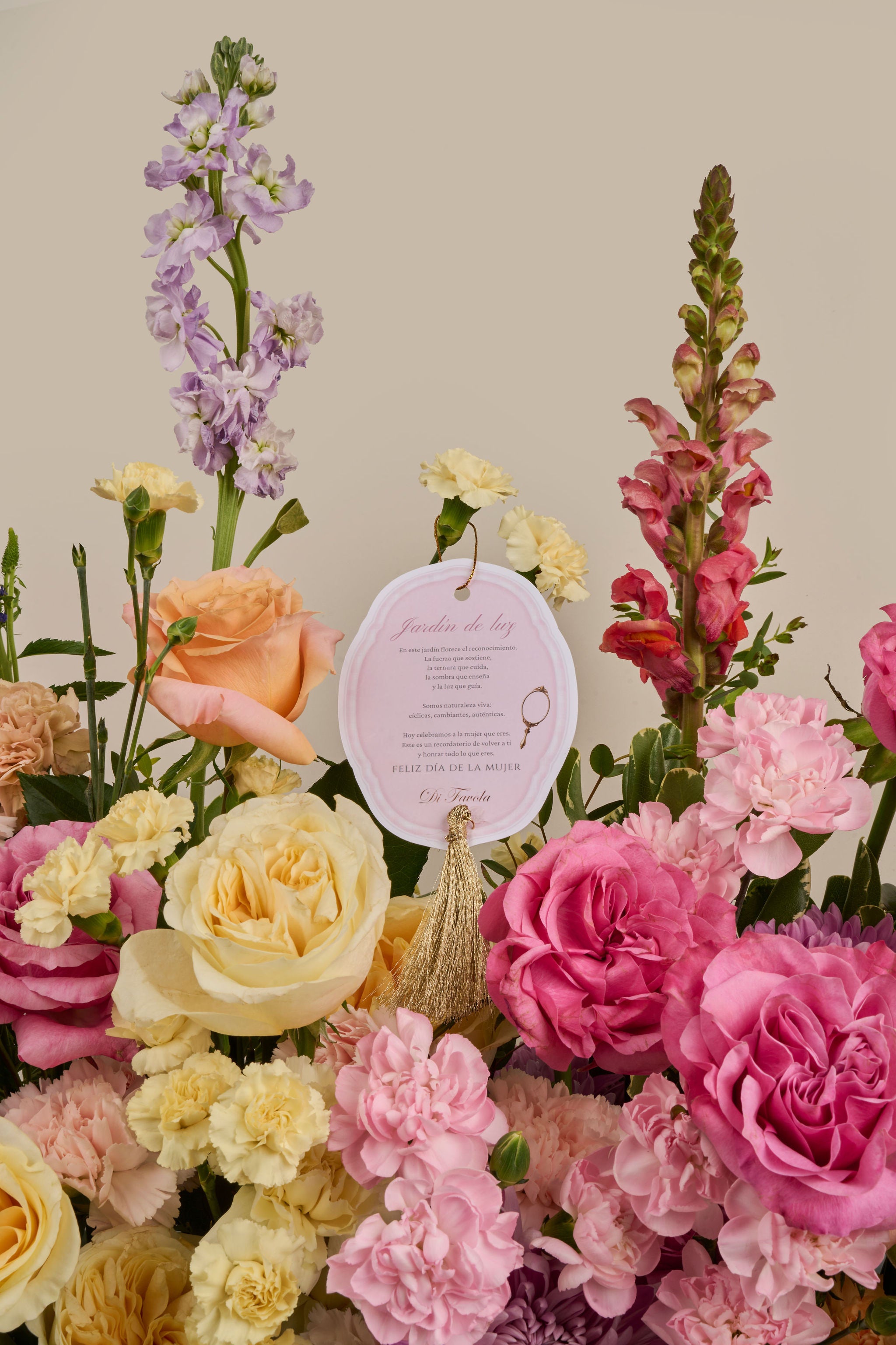 Majestad de luz - XXL