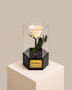 Rosa eterna Hexagonal