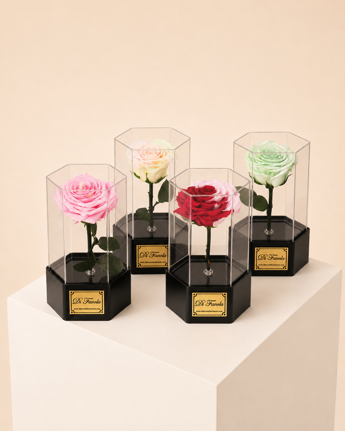 Rosa eterna Hexagonal