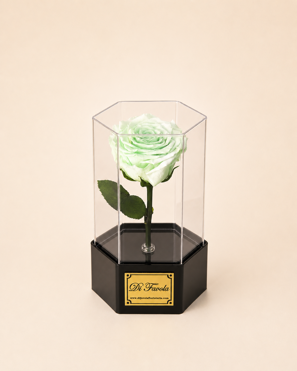 Rosa eterna Hexagonal